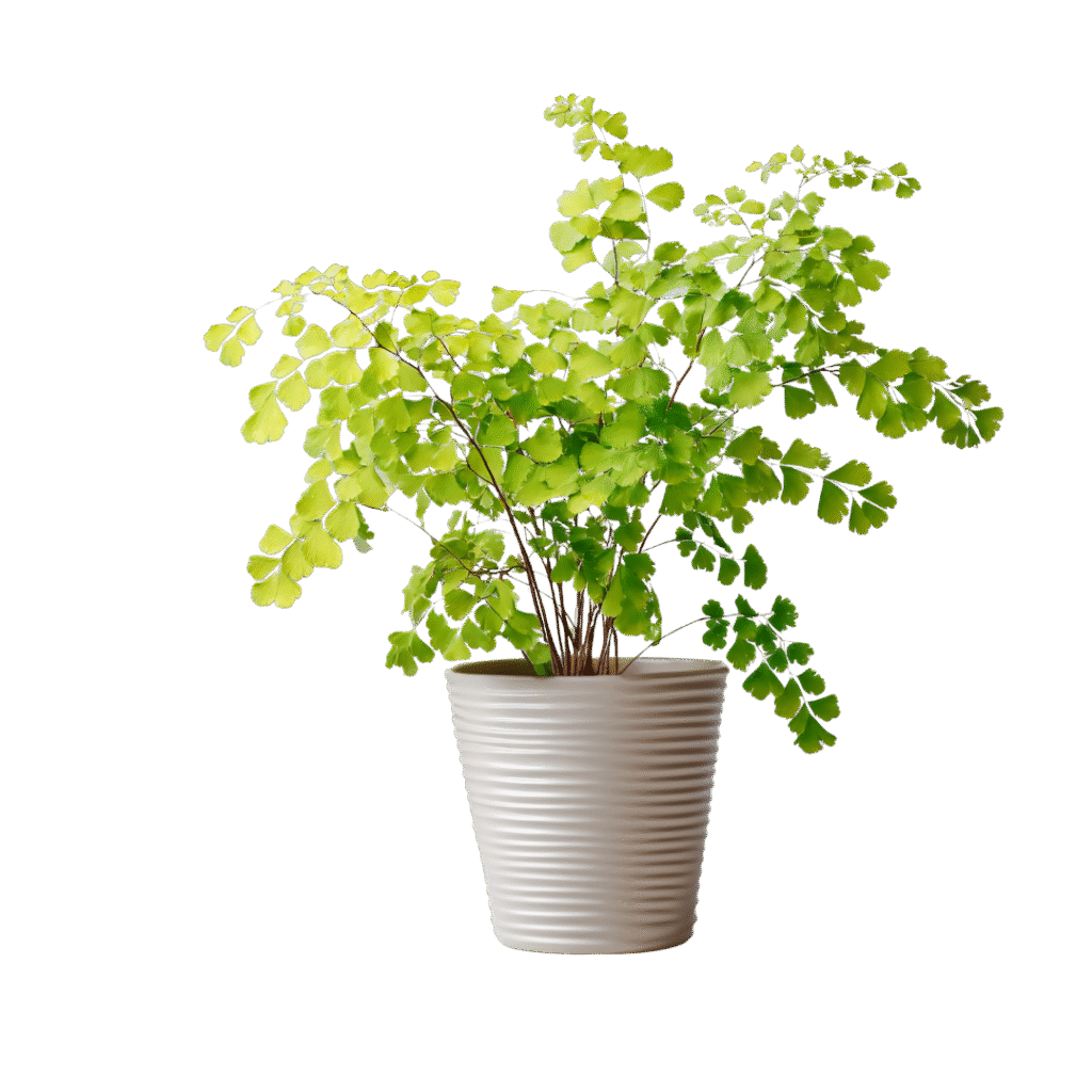 Untitled design (20)