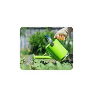 Plant tools- Watering Can