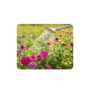 plant tools- hand trowal