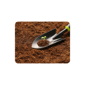 Plant tools- soil scoop